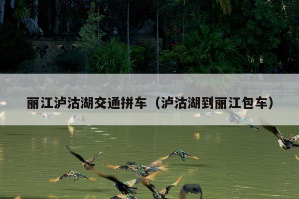 丽江泸沽湖交通拼车（泸沽湖到丽江包车）