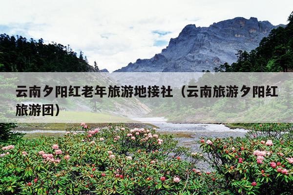 云南夕阳红老年旅游地接社（云南旅游夕阳红旅游团）