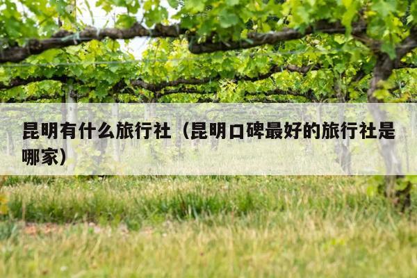 昆明有什么旅行社（昆明口碑最好的旅行社是哪家）