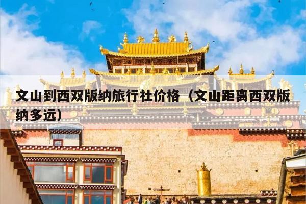 文山到西双版纳旅行社价格（文山距离西双版纳多远）