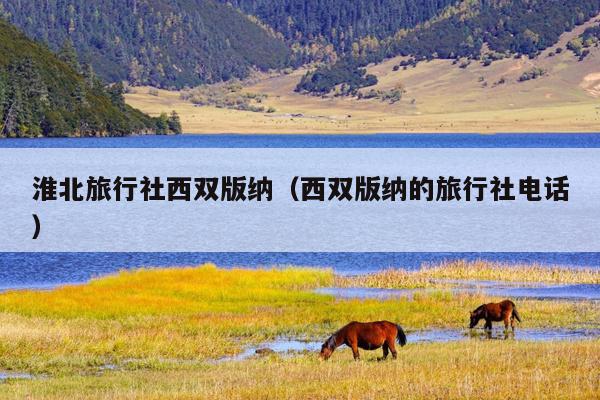 淮北旅行社西双版纳（西双版纳的旅行社电话）