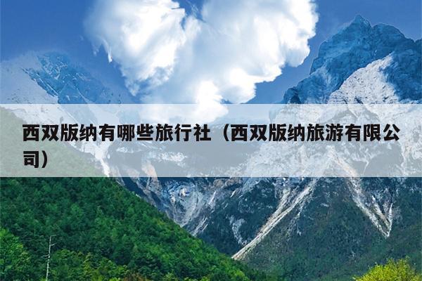 西双版纳有哪些旅行社（西双版纳旅游有限公司）