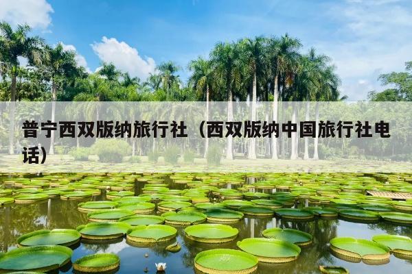 普宁西双版纳旅行社（西双版纳中国旅行社电话）