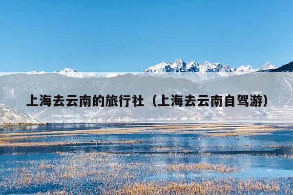 上海去云南的旅行社（上海去云南自驾游）