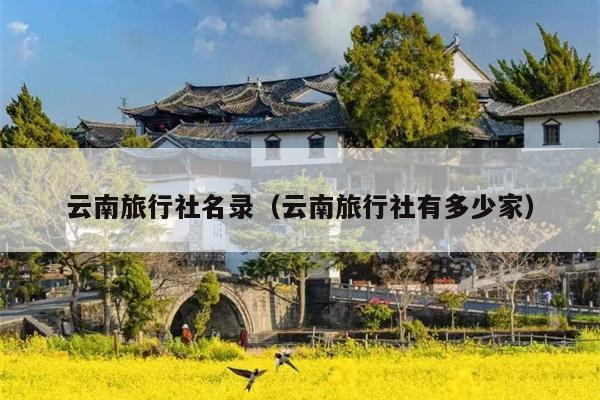 云南旅行社名录（云南旅行社有多少家）