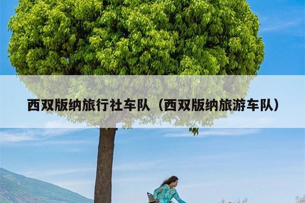 西双版纳旅行社车队（西双版纳旅游车队）