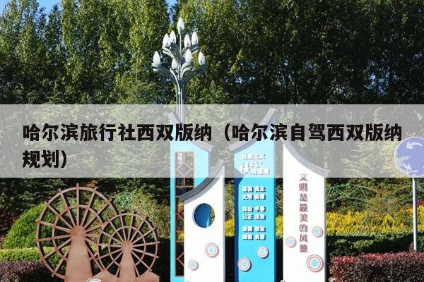 哈尔滨旅行社西双版纳（哈尔滨自驾西双版纳规划）