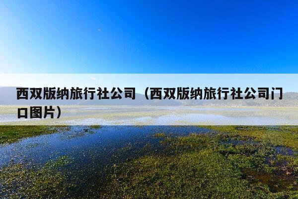 西双版纳旅行社公司（西双版纳旅行社公司门口图片）