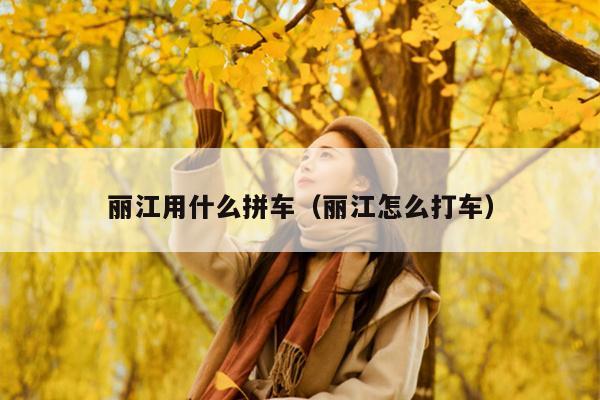 丽江用什么拼车（丽江怎么打车）