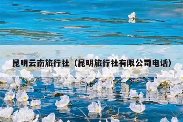 昆明云南旅行社（昆明旅行社有限公司电话）