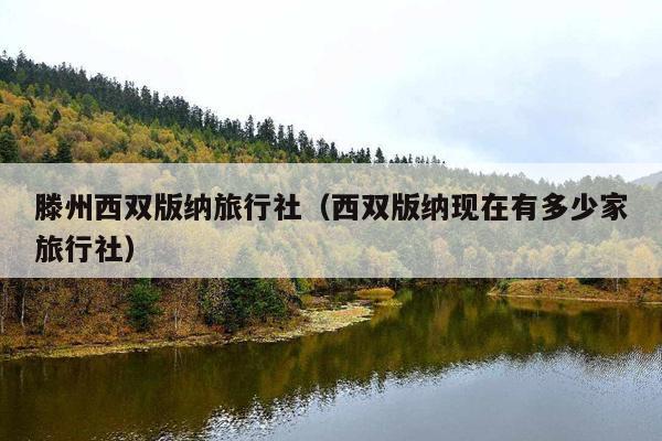 滕州西双版纳旅行社（西双版纳现在有多少家旅行社）