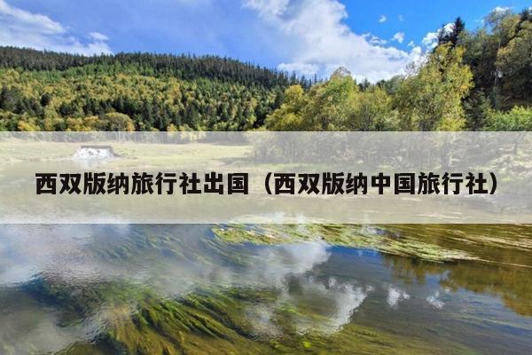 西双版纳旅行社出国（西双版纳中国旅行社）