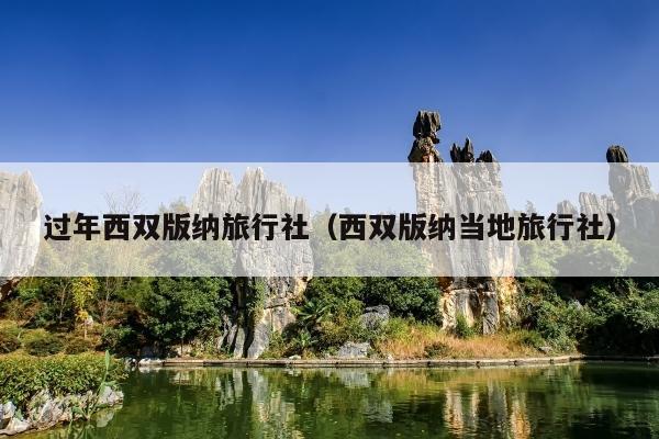 过年西双版纳旅行社（西双版纳当地旅行社）