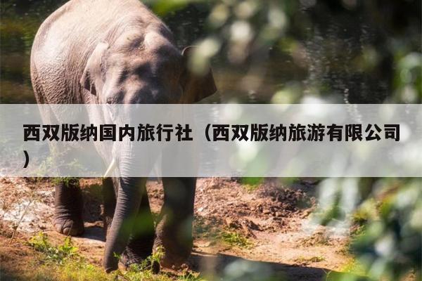 西双版纳国内旅行社（西双版纳旅游有限公司）