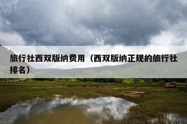 旅行社西双版纳费用（西双版纳正规的旅行社排名）