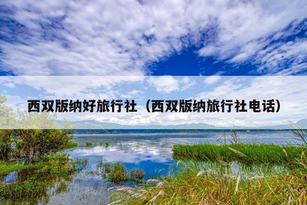 西双版纳好旅行社（西双版纳旅行社电话）