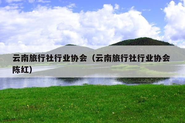 云南旅行社行业协会（云南旅行社行业协会 陈红）