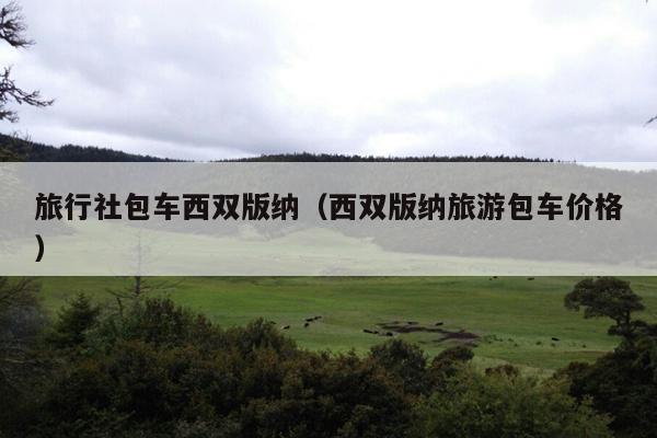 旅行社包车西双版纳（西双版纳旅游包车价格）