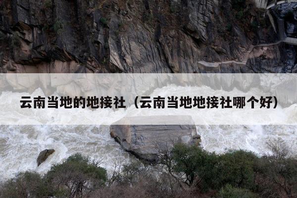 云南当地的地接社（云南当地地接社哪个好）