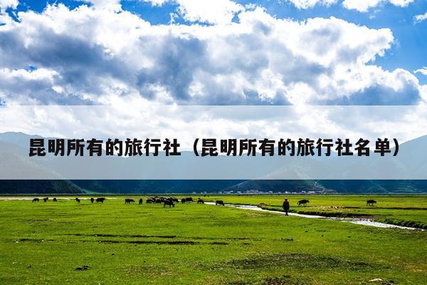昆明所有的旅行社（昆明所有的旅行社名单）