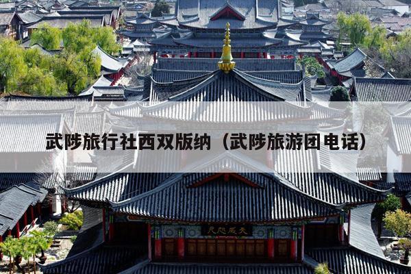 武陟旅行社西双版纳（武陟旅游团电话）