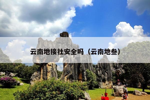 云南地接社安全吗（云南地叁）