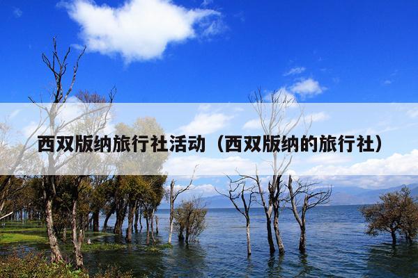 西双版纳旅行社活动（西双版纳的旅行社）