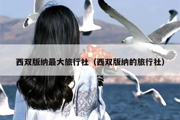 西双版纳最大旅行社（西双版纳的旅行社）