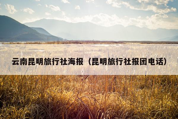 云南昆明旅行社海报（昆明旅行社报团电话）