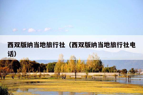 西双版纳当地旅行社（西双版纳当地旅行社电话）