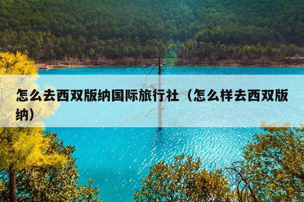 怎么去西双版纳国际旅行社（怎么样去西双版纳）