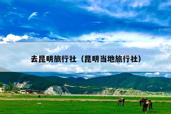 去昆明旅行社（昆明当地旅行社）