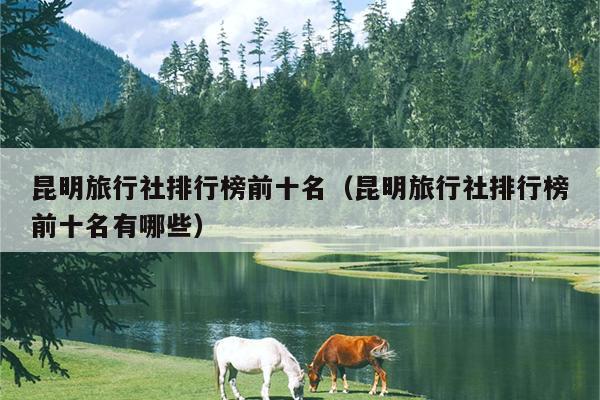 昆明旅行社排行榜前十名（昆明旅行社排行榜前十名有哪些）