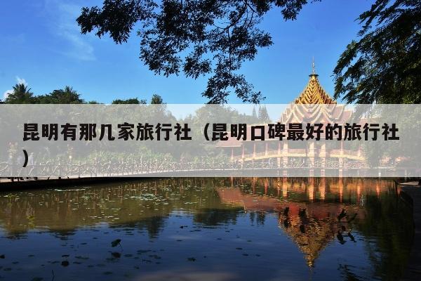 昆明有那几家旅行社（昆明口碑最好的旅行社）