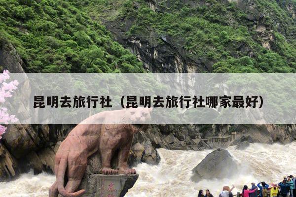 昆明去旅行社（昆明去旅行社哪家最好）