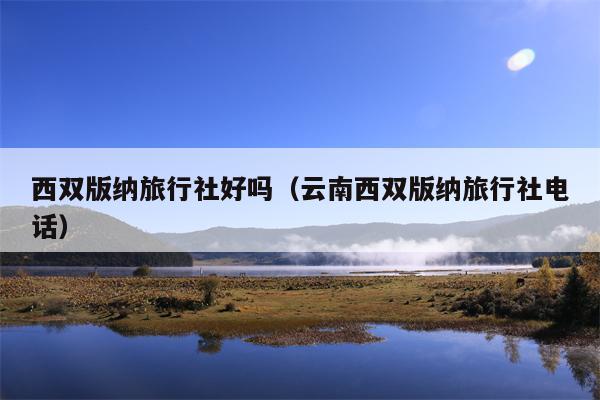 西双版纳旅行社好吗（云南西双版纳旅行社电话）