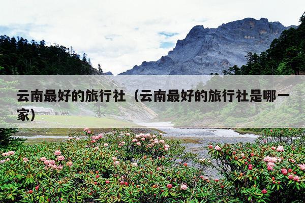 云南最好的旅行社（云南最好的旅行社是哪一家）