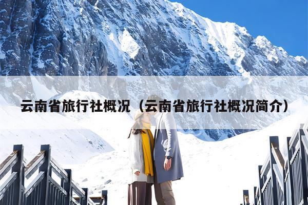 云南省旅行社概况（云南省旅行社概况简介）