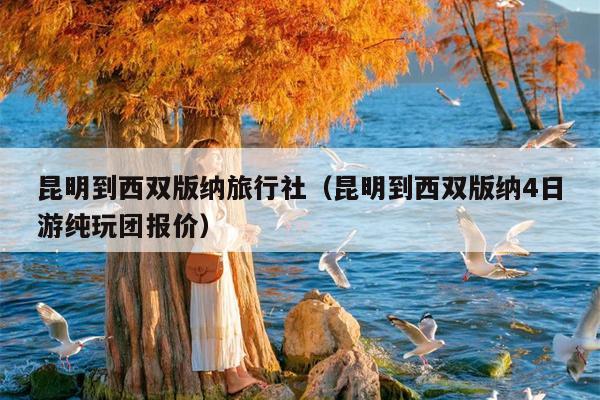 昆明到西双版纳旅行社（昆明到西双版纳4日游纯玩团报价）