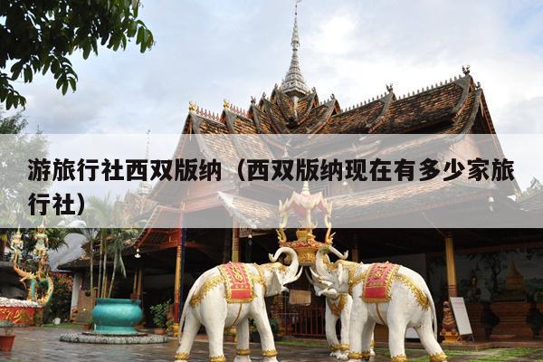 游旅行社西双版纳（西双版纳现在有多少家旅行社）