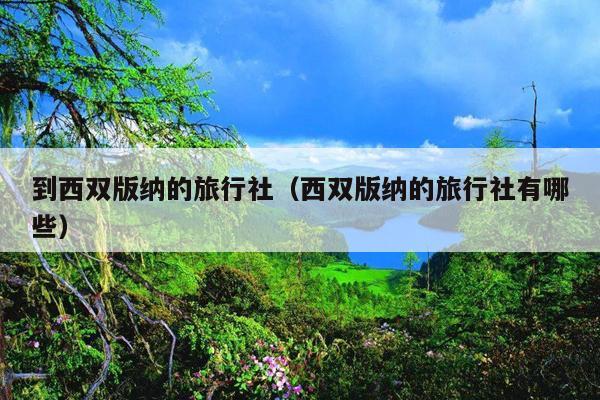 到西双版纳的旅行社（西双版纳的旅行社有哪些）