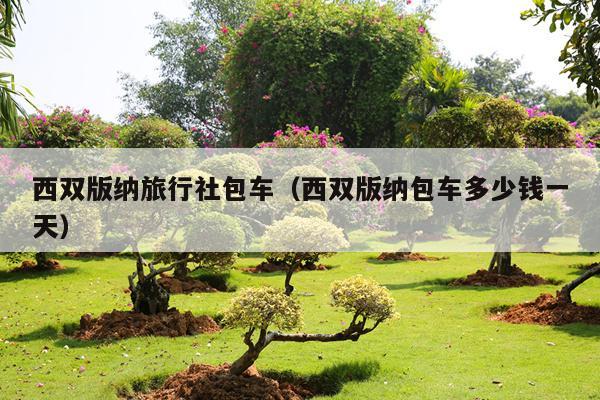 西双版纳旅行社包车（西双版纳包车多少钱一天）