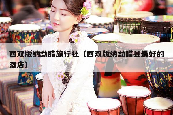 西双版纳勐腊旅行社（西双版纳勐腊县最好的酒店）