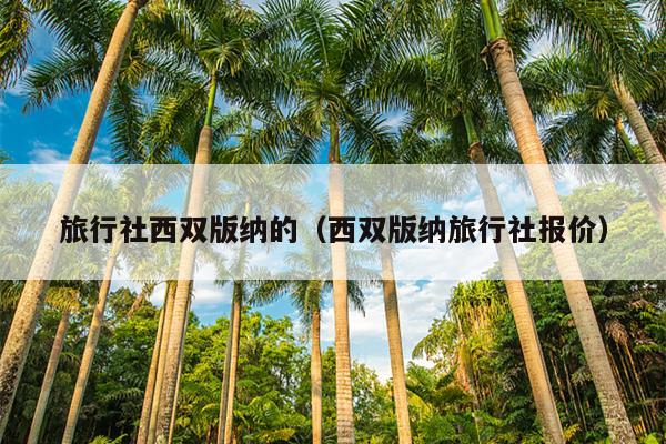 旅行社西双版纳的（西双版纳旅行社报价）