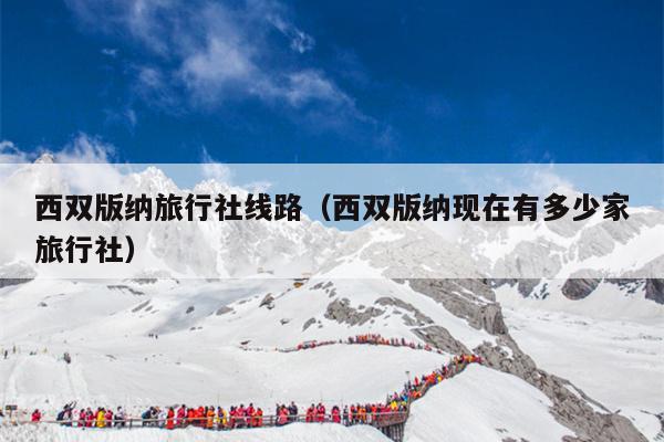 西双版纳旅行社线路（西双版纳现在有多少家旅行社）