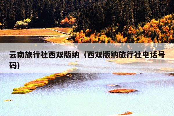 云南旅行社西双版纳（西双版纳旅行社电话号码）