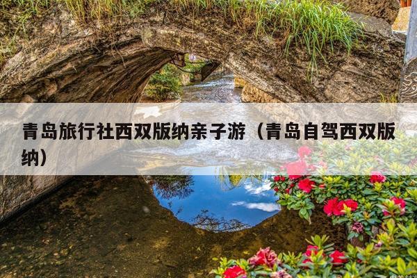 青岛旅行社西双版纳亲子游（青岛自驾西双版纳）