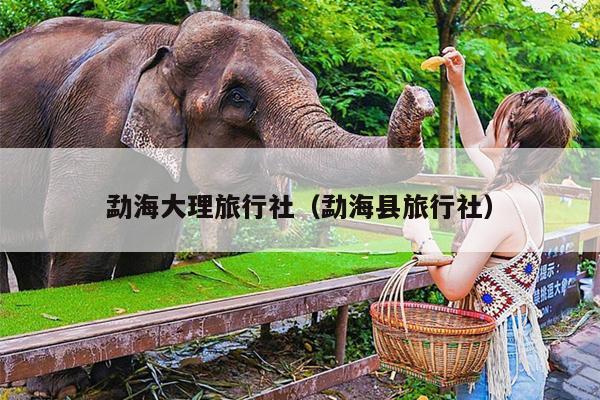 勐海大理旅行社（勐海县旅行社）