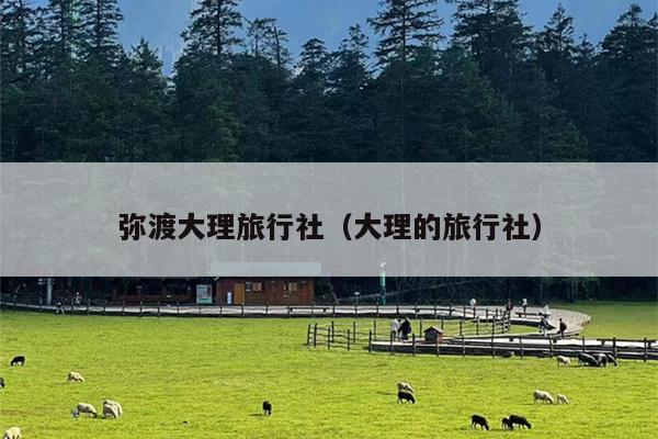 弥渡大理旅行社（大理的旅行社）