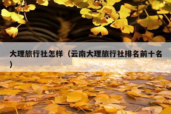 大理旅行社怎样（云南大理旅行社排名前十名）